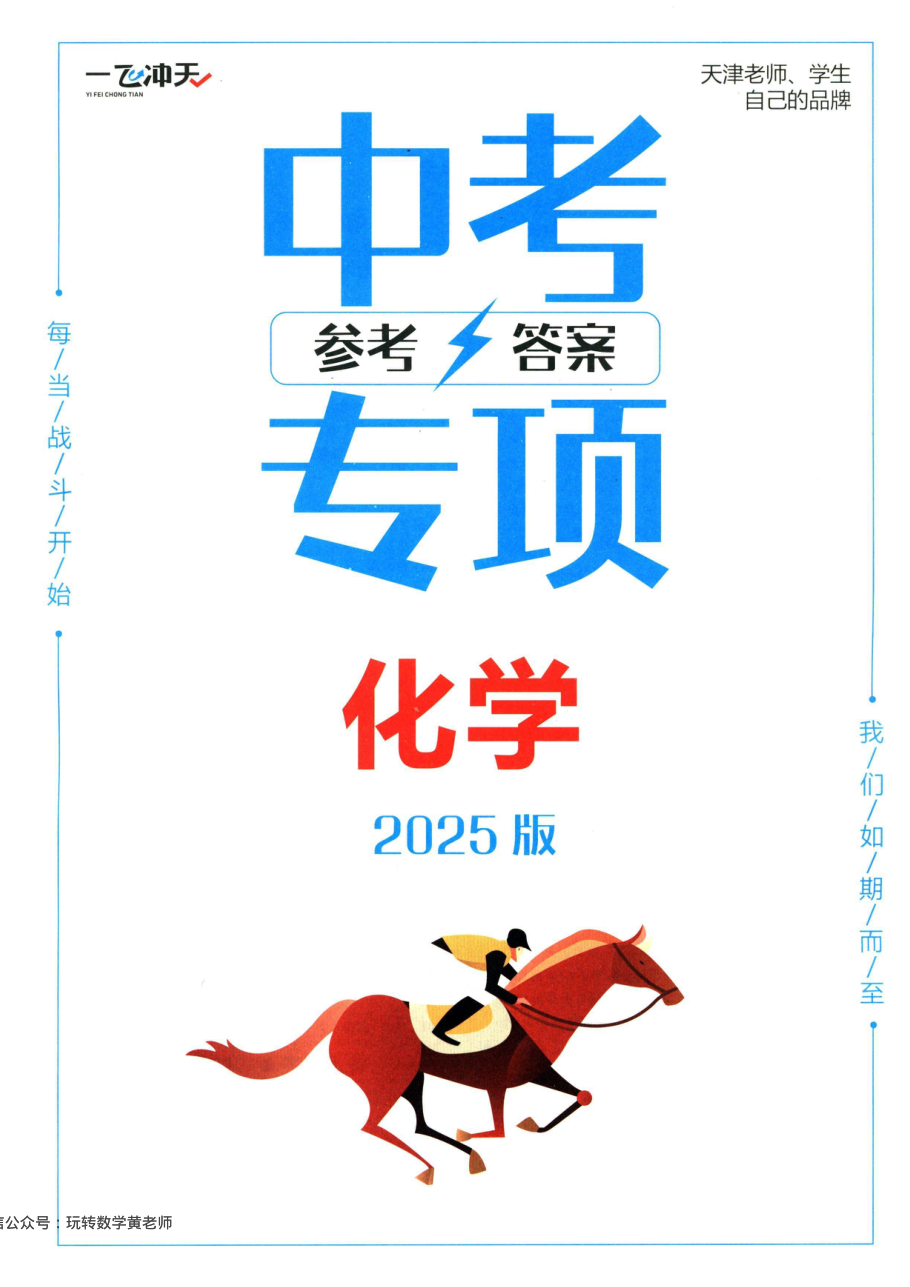 答案化学2025一飞冲天中考专项.pdf 第 1 页