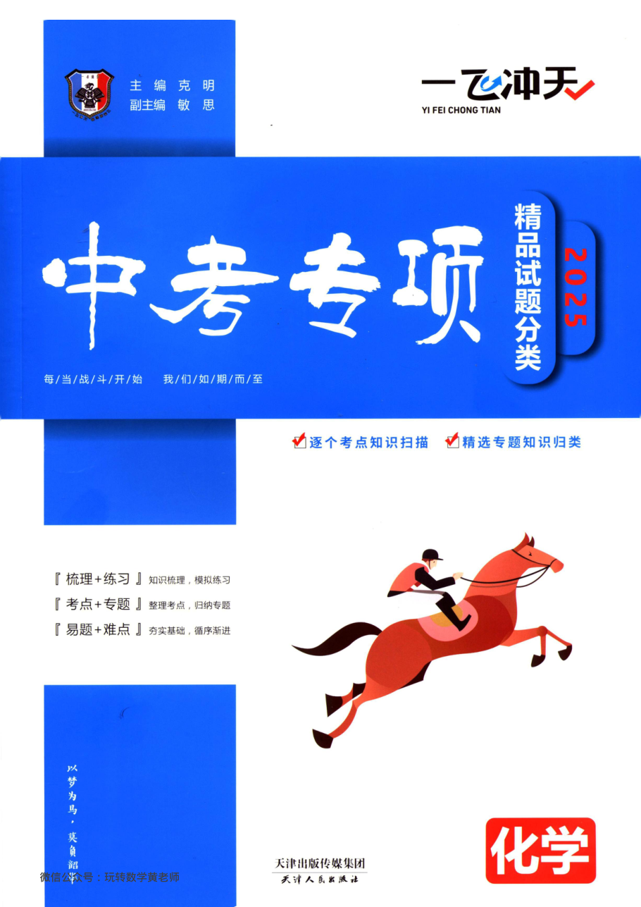 （已压缩）化学2025一飞冲天中考专项.pdf 第 1 页